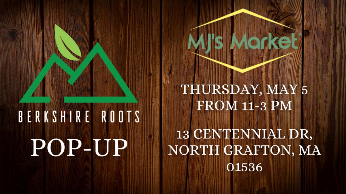 Berkshire Roots Pop up at MJ's Market Berkshire Roots Cannabis Dispensary