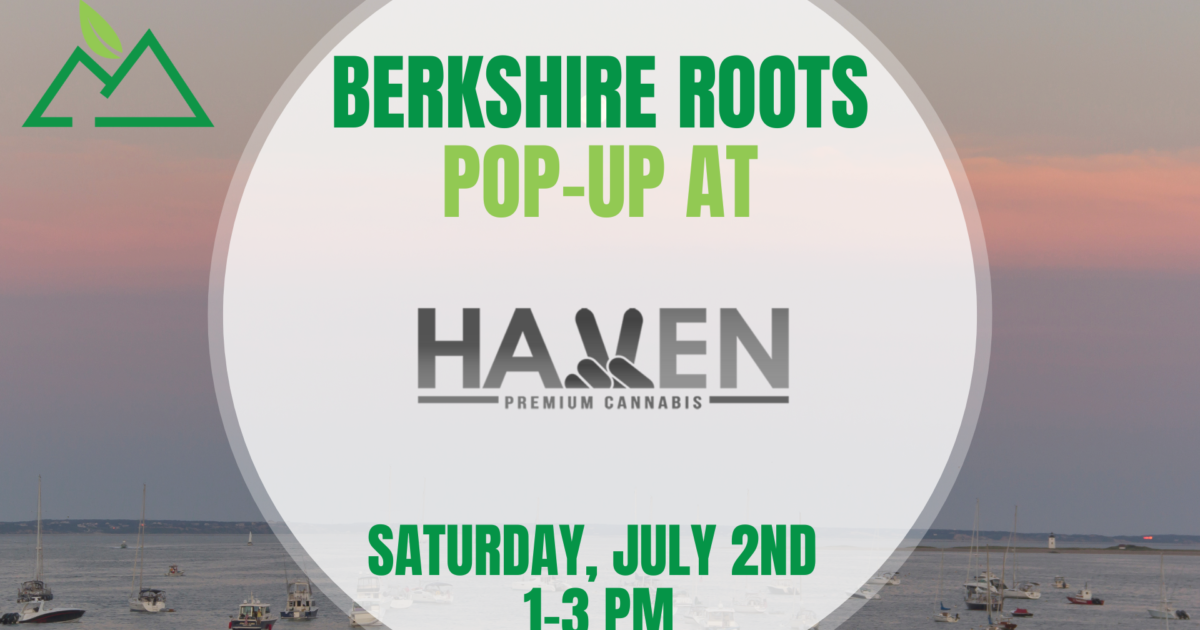 Berkshire Roots PopUp at The Haven Center Berkshire Roots Cannabis Dispensary