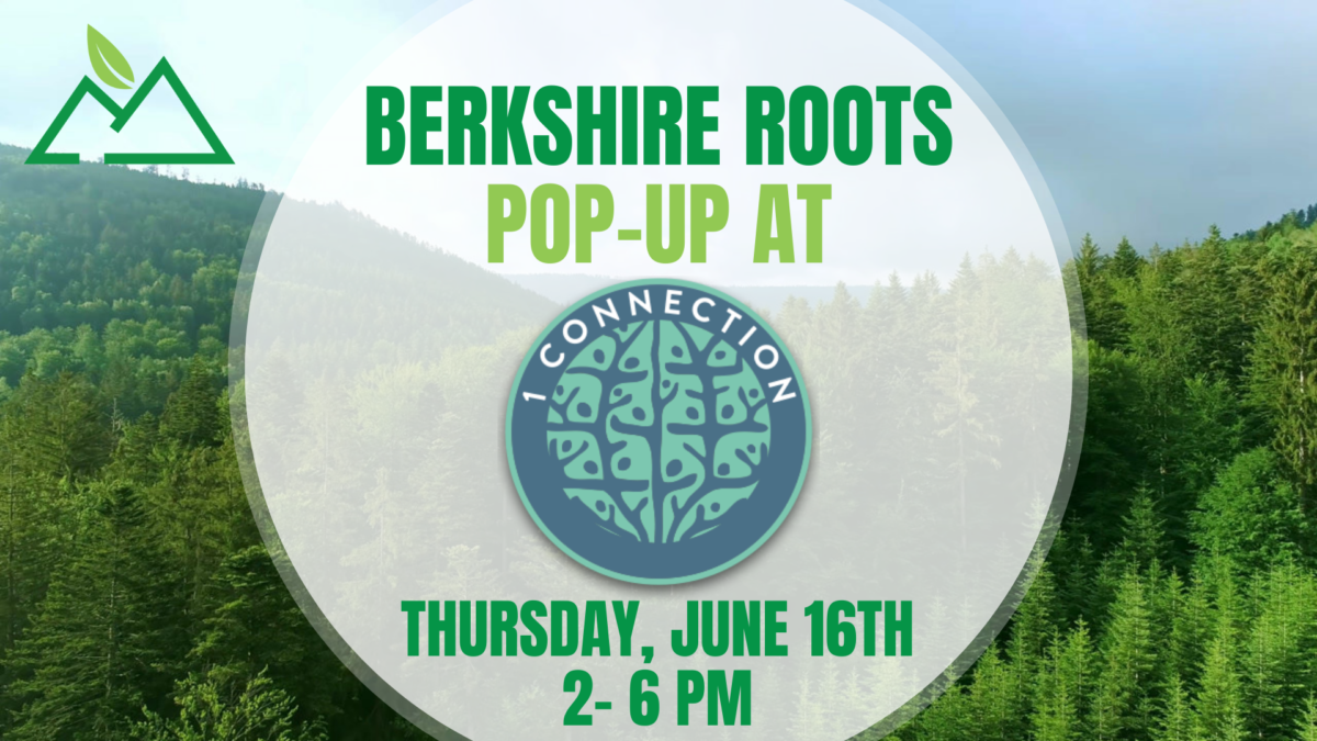 Berkshire Roots PopUp at 1 Connection Berkshire Roots Cannabis