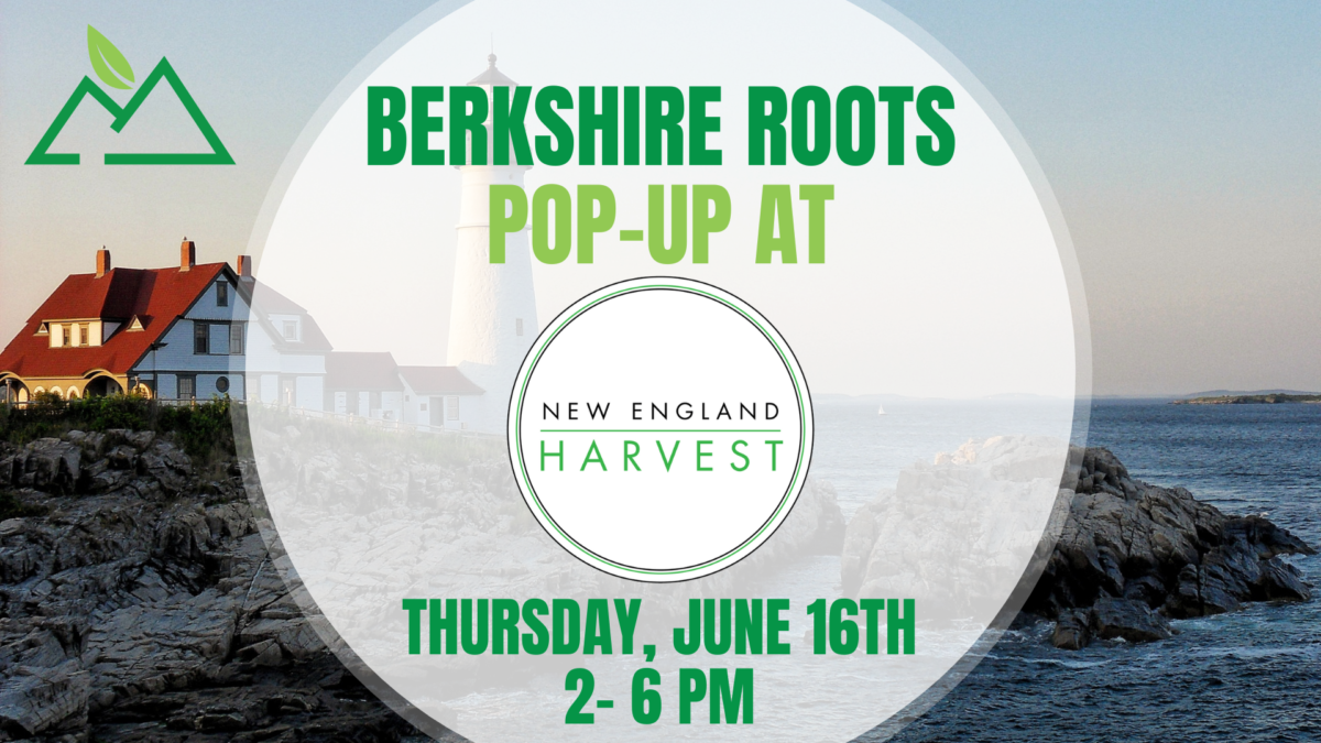 Berkshire Roots PopUp at New England Harvest Berkshire Roots