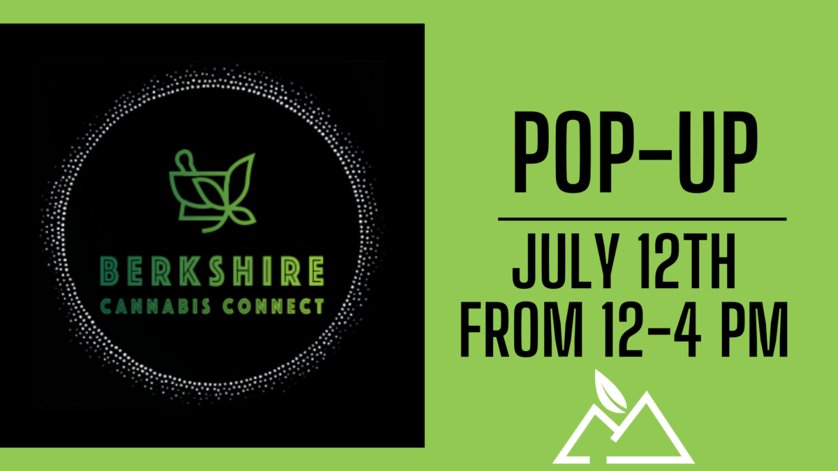 Berkshire Cannabis Connect Pop up at Berkshire Roots Berkshire Roots
