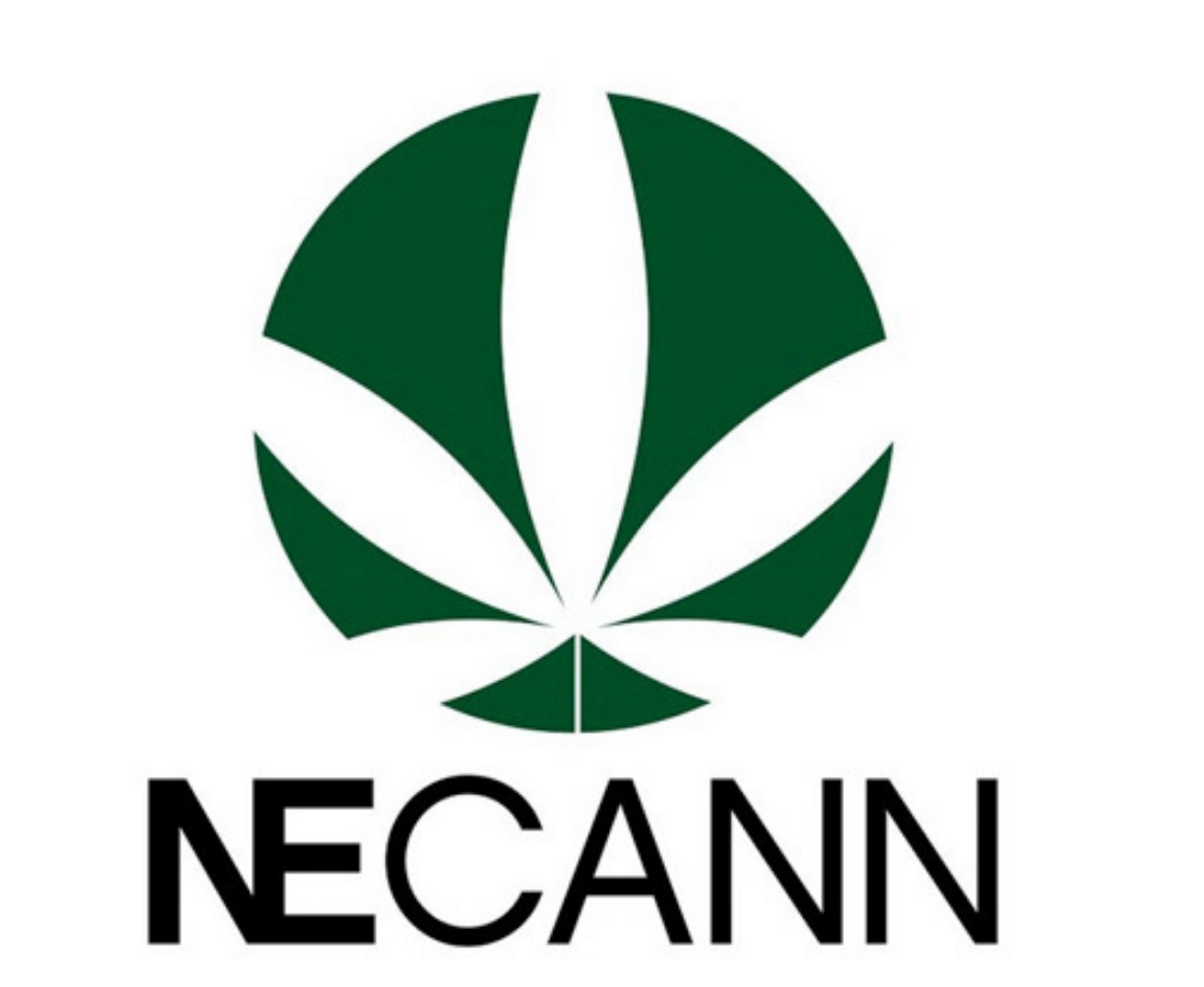 NECANN Albany