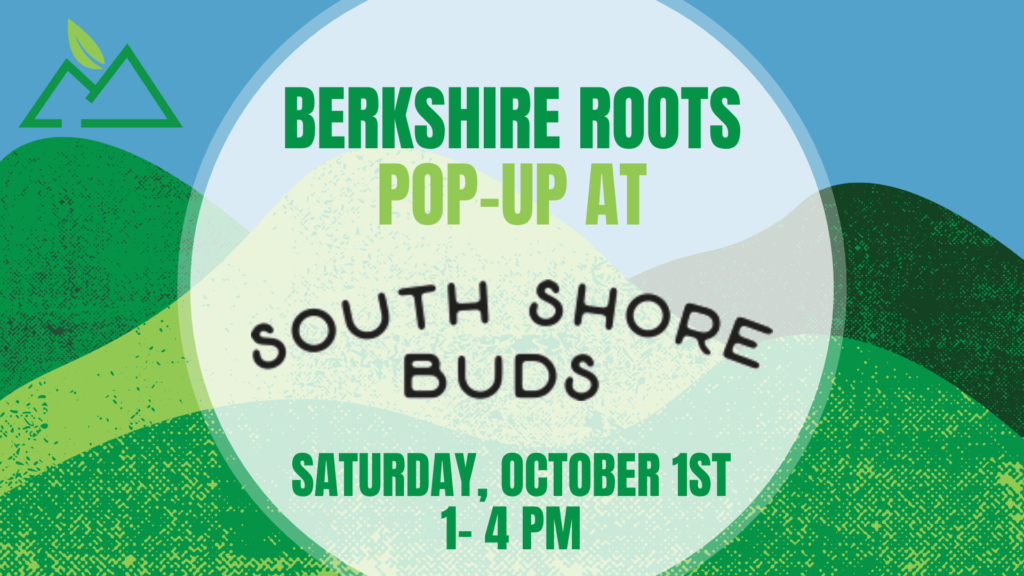 Berkshire Roots Pop up at South Shore Buds Berkshire Roots Cannabis