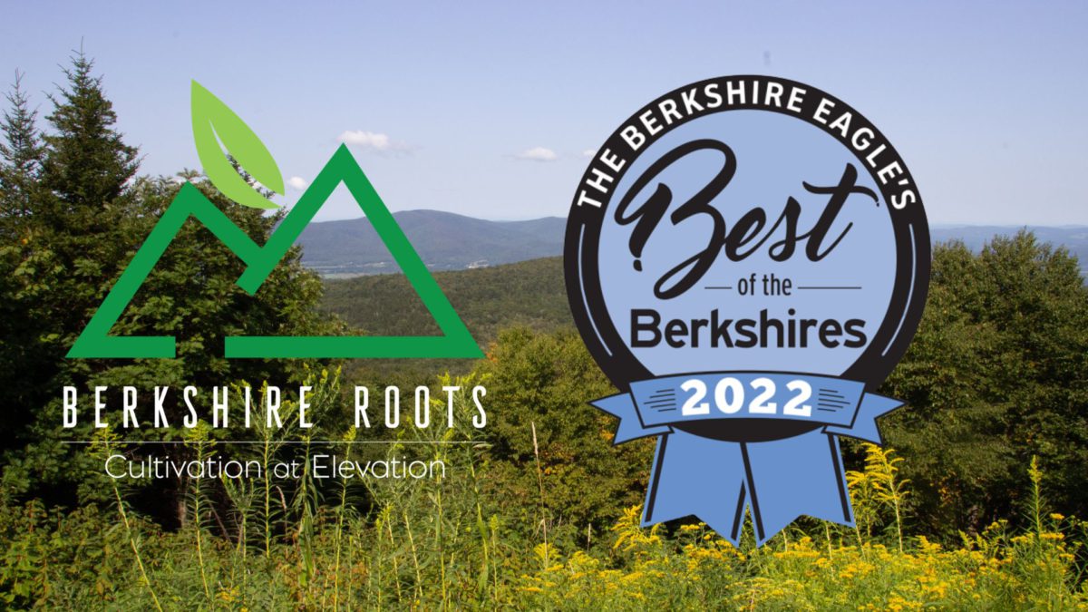 The Best Of The Berkshires Event Berkshire Roots Cannabis Dispensary