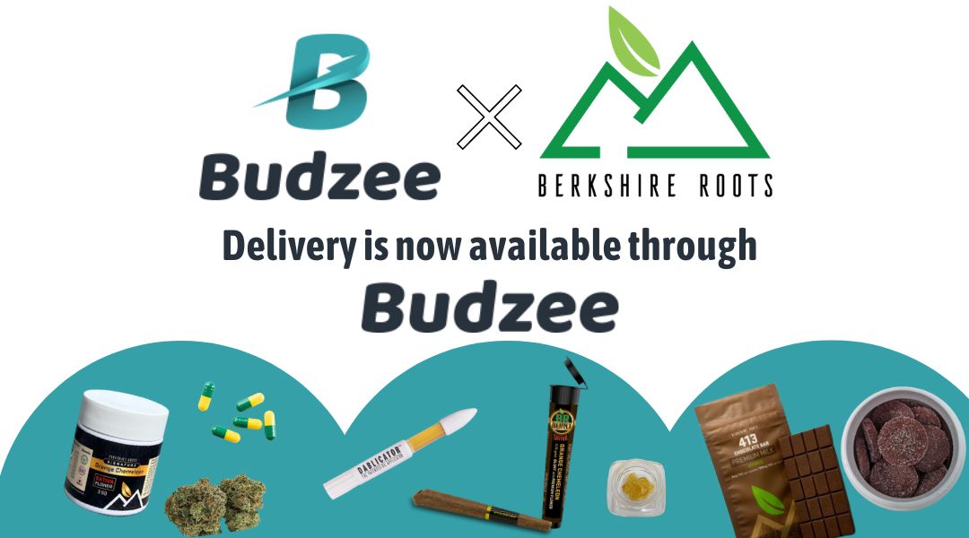 Delivery through Budzee