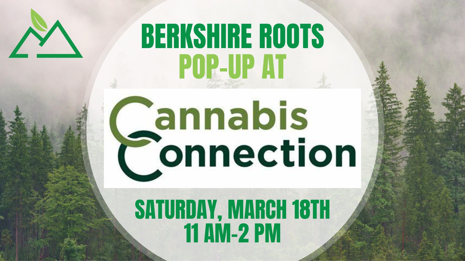 Berkshire Roots pop up at Cannabis Connection